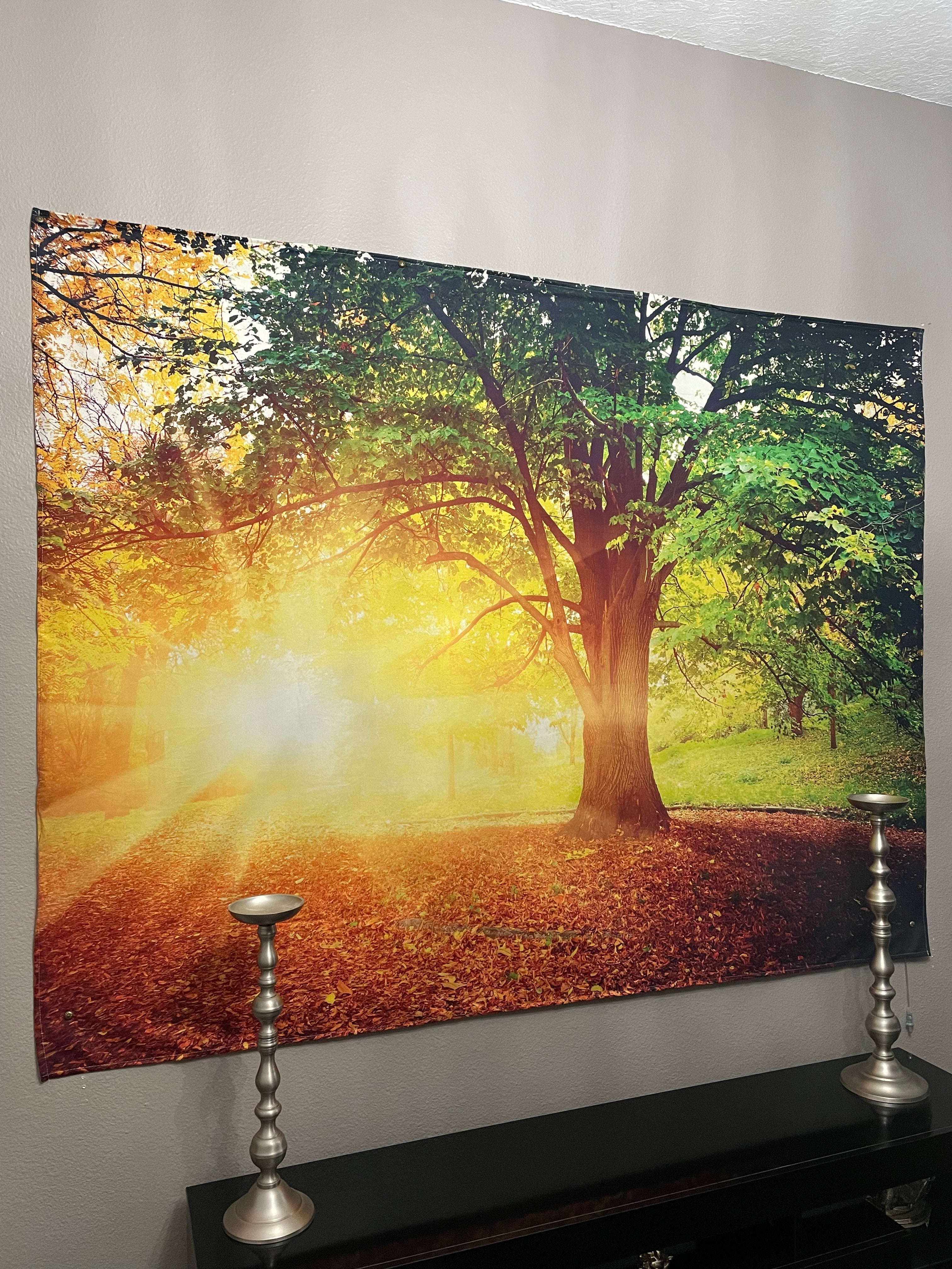 KaiSha LED Tapestry Wall Hanging; Wedding Backdrop Banner Photo Background Sunset Scenes Nature Landscape Scenery Trees